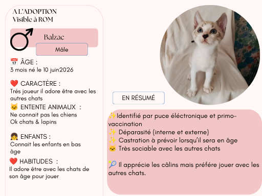 BALZAC