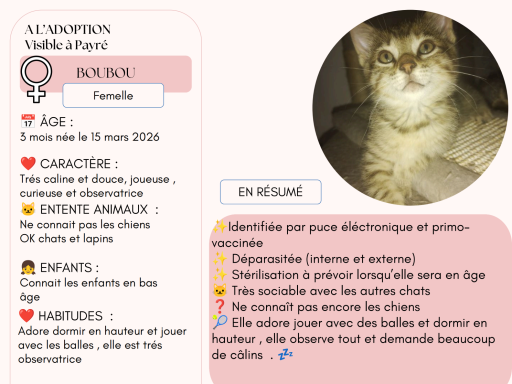 BOUBOU 3 MOIS BOUBOU 3 MOIS