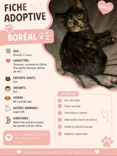 BOREAL - BIENTOT 2 MOIS