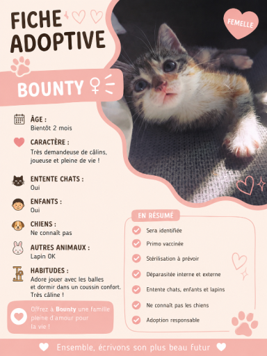 BOUNTY - BIENTOT 2 MOIS