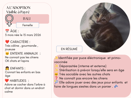 BALI 3 MOIS BALI 3 MOIS