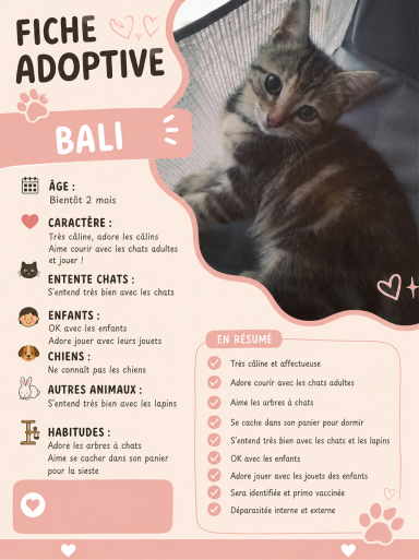 BALI