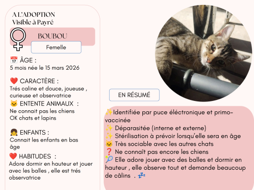 BOUBOU