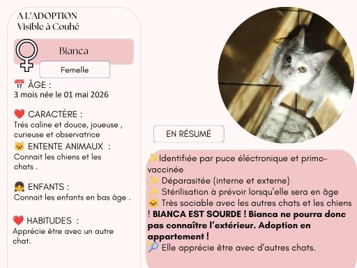 BIANCA / ADOPTION EN APPARTEMENT