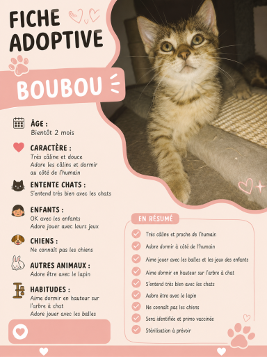 BOUBOU - BIENTOT 2 MOIS