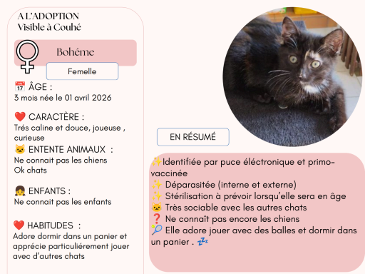 BOHEME 3 MOIS BOHEME 3 MOIS