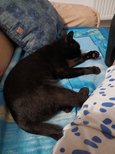 Youri née le 23/01/2024 Youri