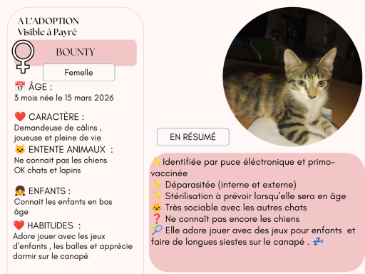 BOUNTY 3 MOIS BOUNTY 3 MOIS